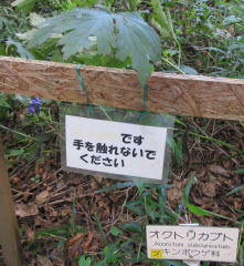 tori201210.jpg