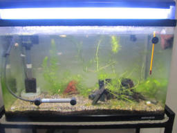 sui20121101.jpg