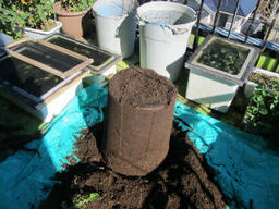 imo201211.jpg