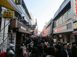 harajuku2.jpg