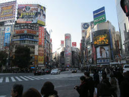 sibuya1.jpg