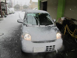 snow20130114_1.jpg
