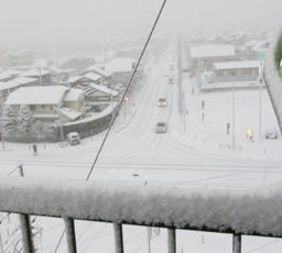 yuki20130128.jpg