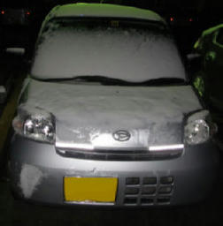 snow201302b.jpg