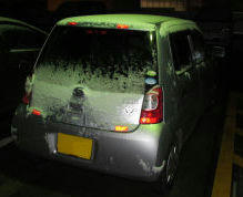 snow201302.jpg