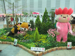 garden2013_3.jpg