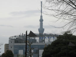 skytree2013.jpg