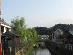 sawara201605c.jpg
