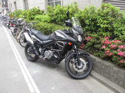 akiba201306b.jpg