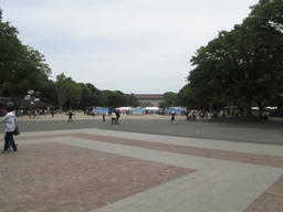 ueno201306.jpg