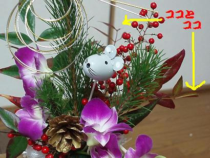 PC280012.JPG