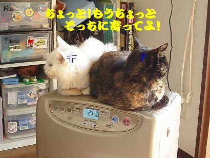 PC310057.JPG