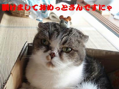 P1010023.JPG