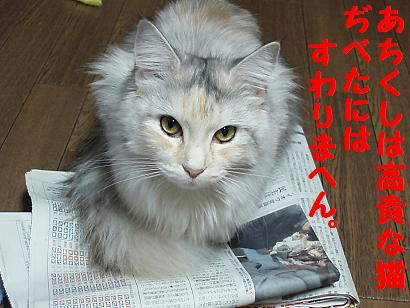 P1050073.JPG