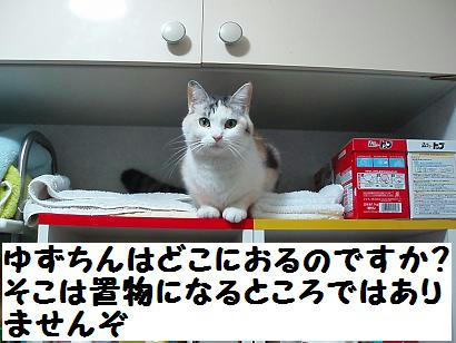 P1050076.JPG