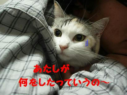 P1050079.JPG