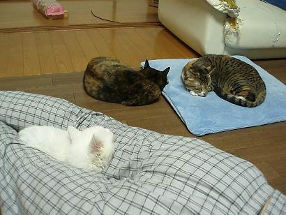 P1050080.JPG