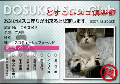 dosukoi.JPG