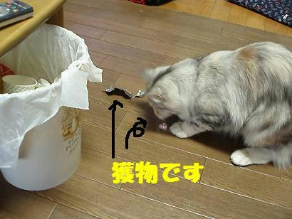 P1100031.JPG