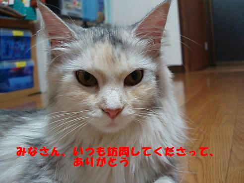 P8130116.JPG