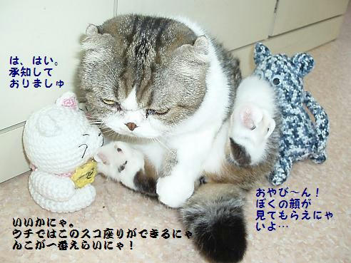 P9100051.JPG