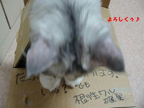 P9110074.JPG