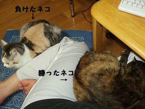 P9300169.JPG