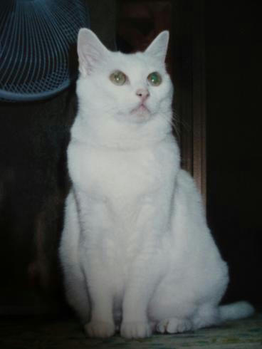 PB020024.JPG