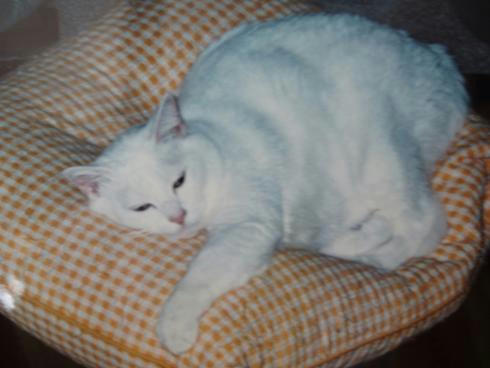 PB020025.JPG