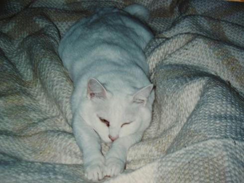 PB020030.JPG