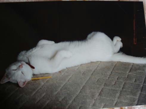 PB020032.JPG