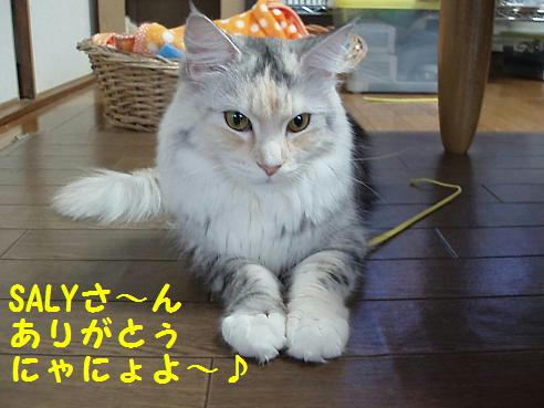 PB210009.JPG