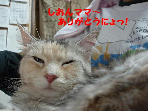 P1100013.JPG