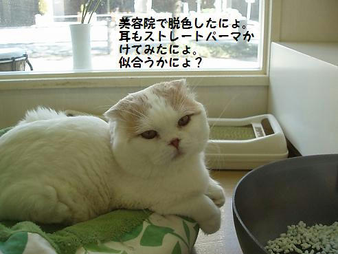 P1250104.JPG