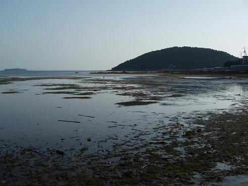 P2140007.JPG