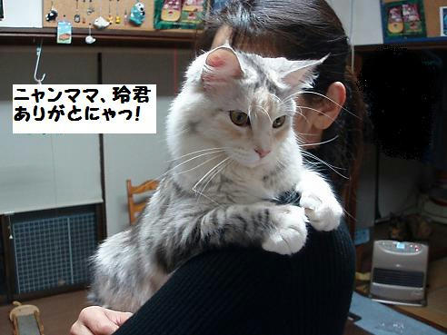 P2180103.JPG