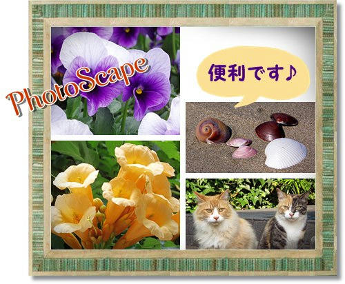 PhotoScapeで編集した画像