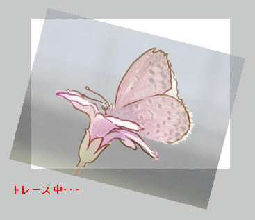 TraceStudio