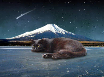 富士山と猫