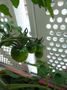 P1080569.JPG