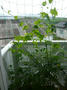 P1080904.JPG