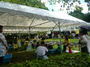 P1090295.JPG