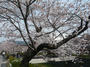 P1130286.JPG
