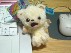blog20101011_1