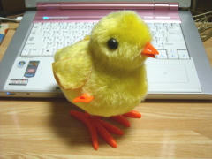 blog20101016_1