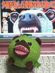 blog20110213_1