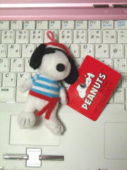 blog20110525_1