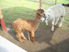 blog20110819_1