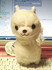 blog20111105_1