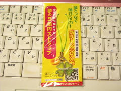 blog20120225_1